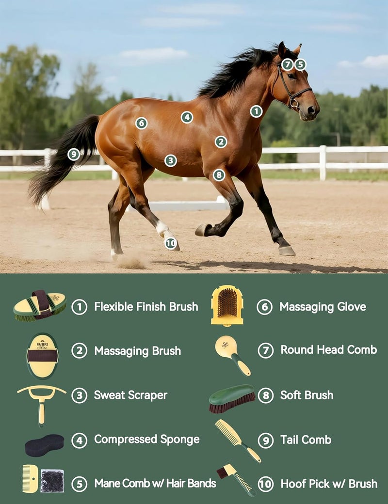 Furrishine 11PCS Horse Grooming Kit Curry Comb Sweat Scraper Horse Bathing Supplies Grooming Tools with Storage Bag Pasture Glow - Image 2